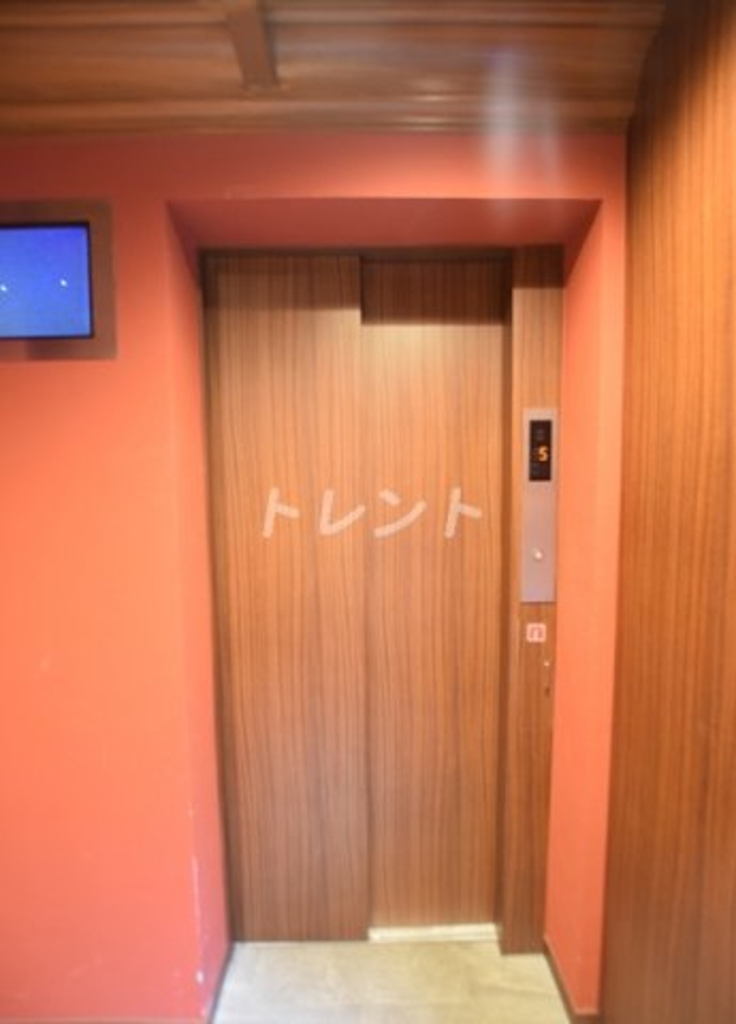 カーサエストコルタ【CASA EST CORTA】-702