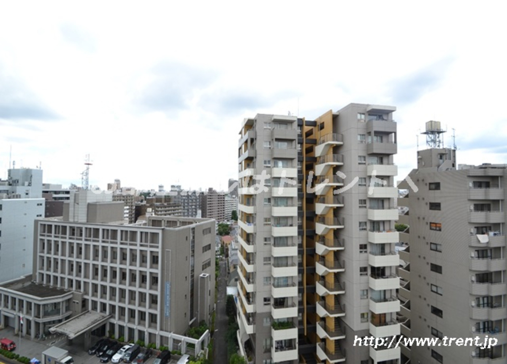 ザプレミアムスイート高田馬場-301