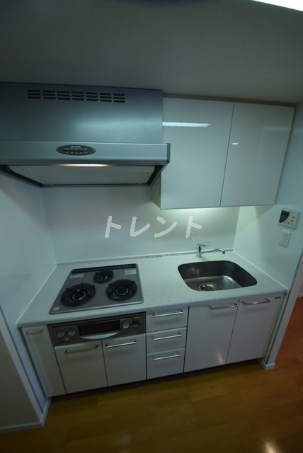 ステラメゾン茗荷谷-1301