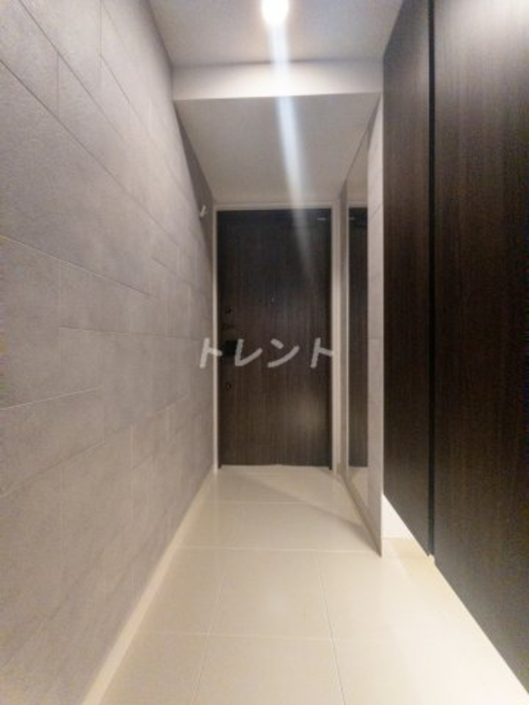 ブリリアタワー上野池之端【Brillia Tower 上野池之端】-309