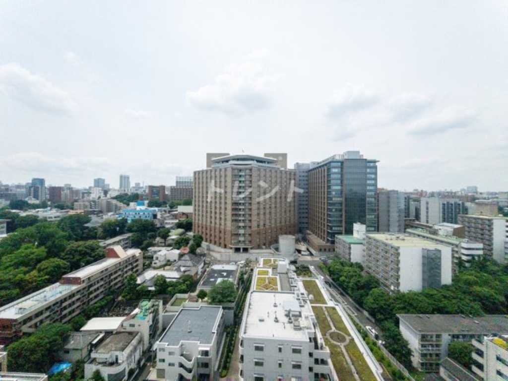 ブリリアタワー上野池之端【Brillia Tower 上野池之端】-309