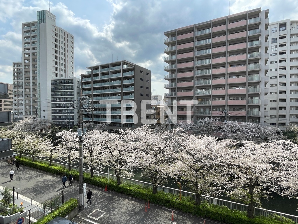 マンション雅叙苑-409