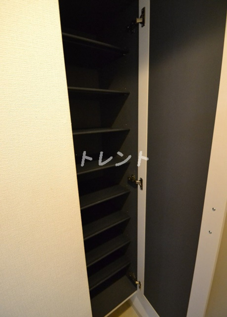 メルクマールＴ-202
