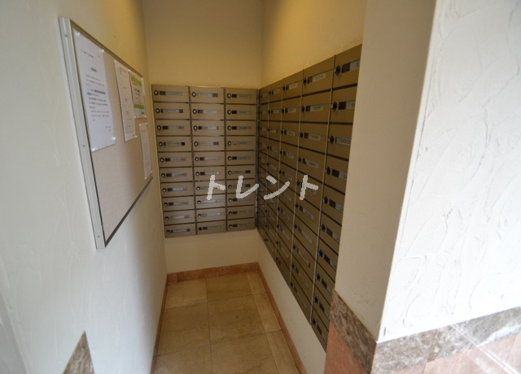 ケーズ新中野【K'S新中野】-902