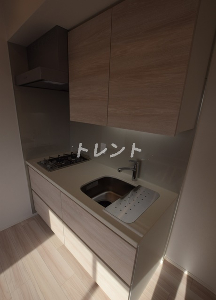 ザパークハビオ神楽坂香月-601