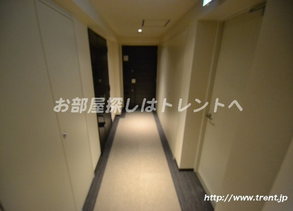 グランスイート四谷プレシア-205