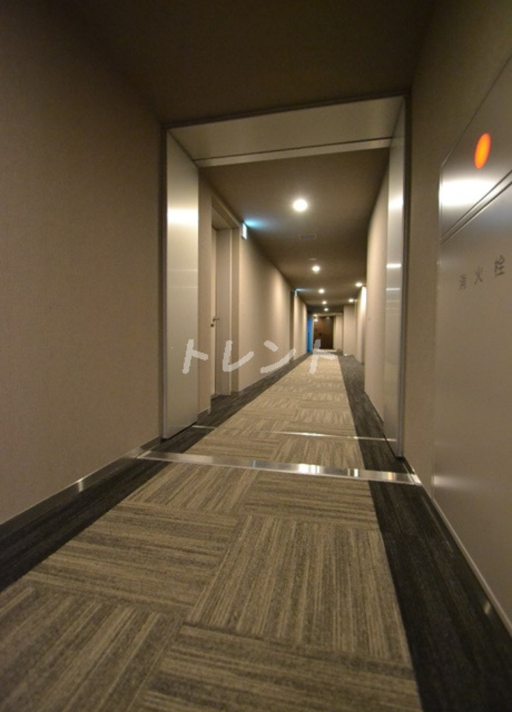 ブランズ渋谷常盤松-301