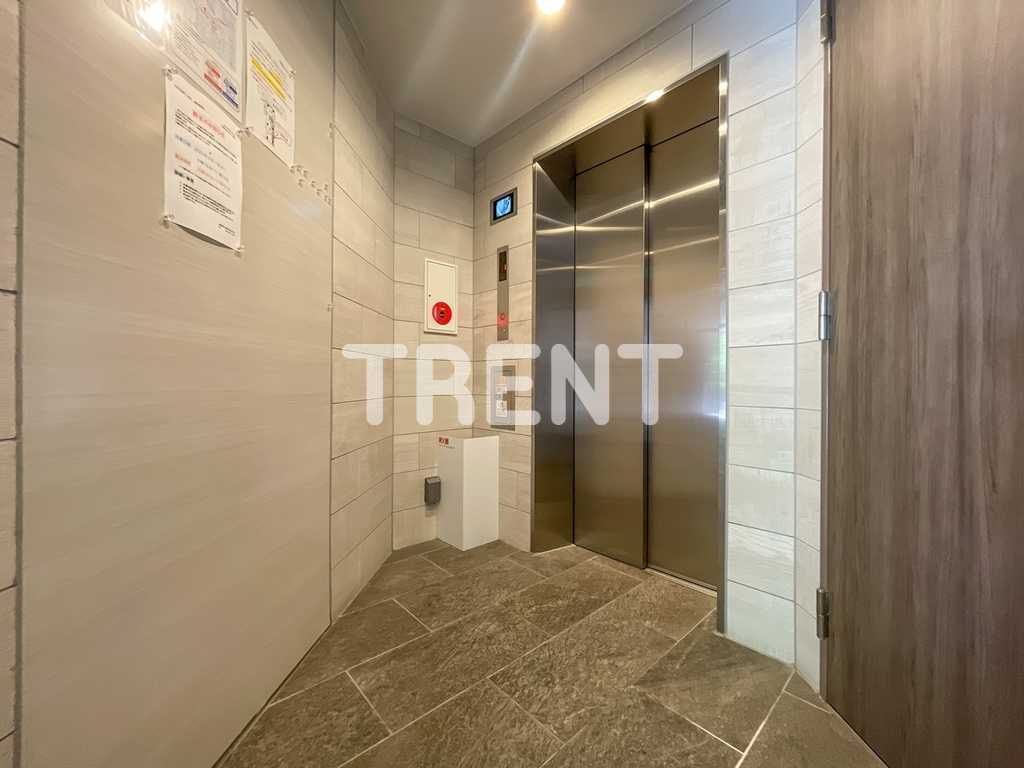 アルテシモリブラ-502