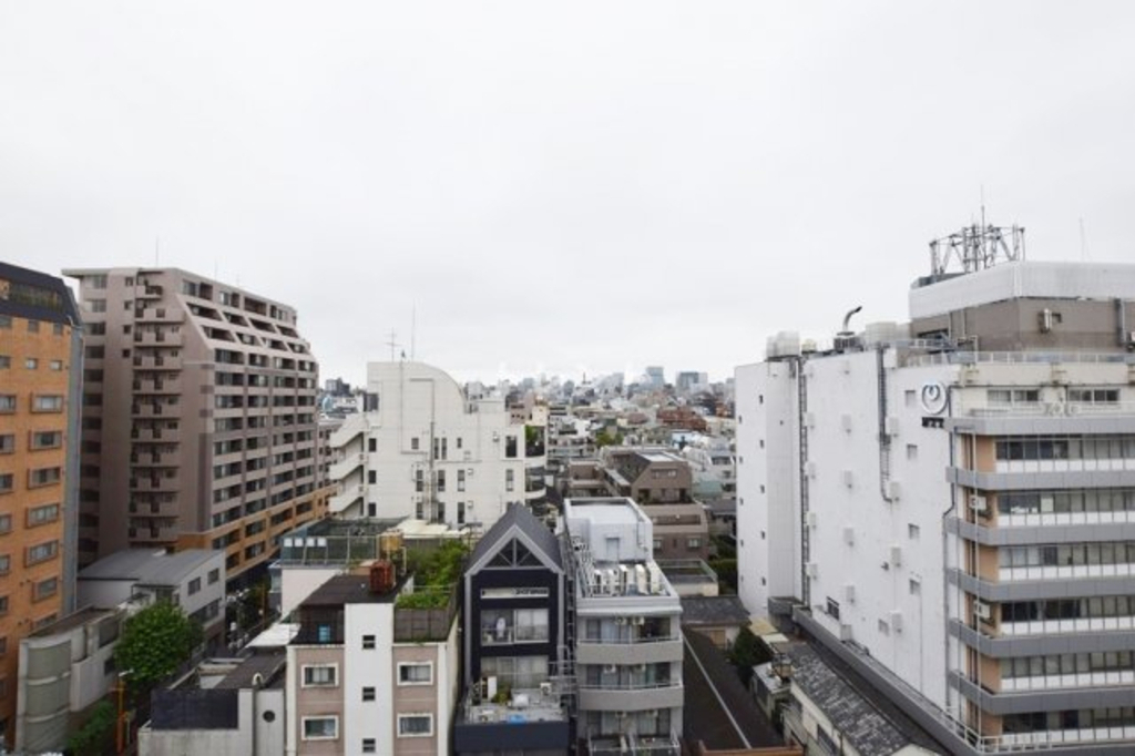 アルテシモリブラ-502