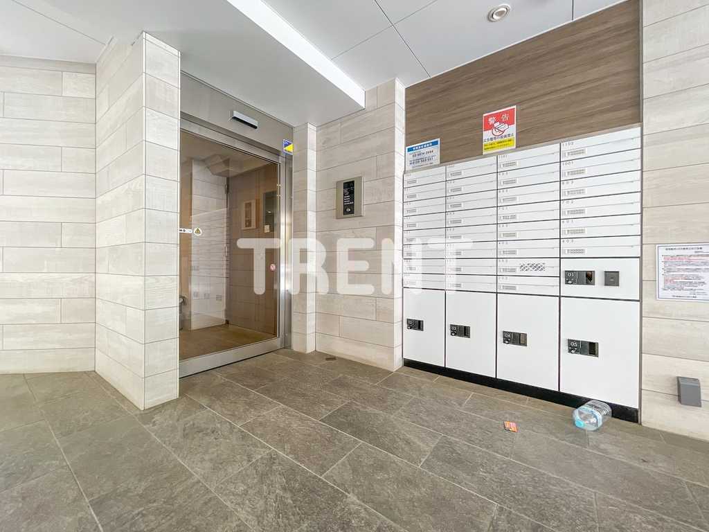 アルテシモリブラ-502