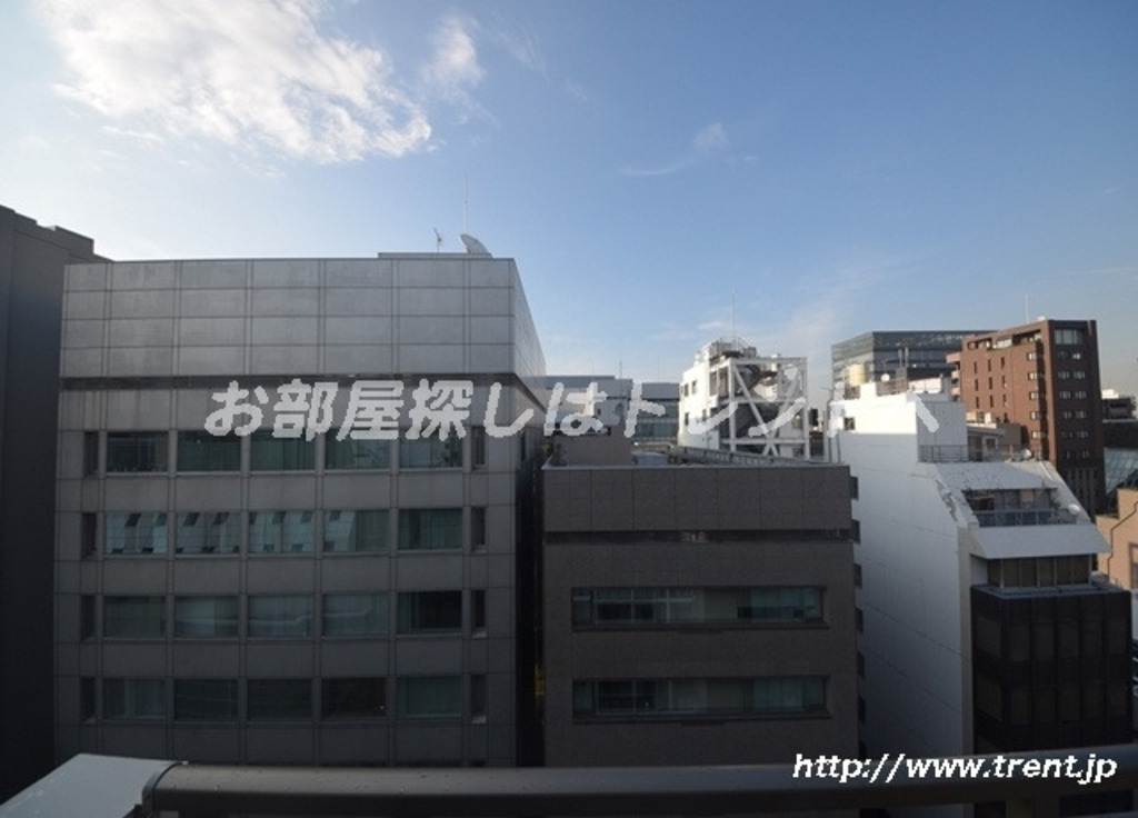 エルスタンザ平河町-1103
