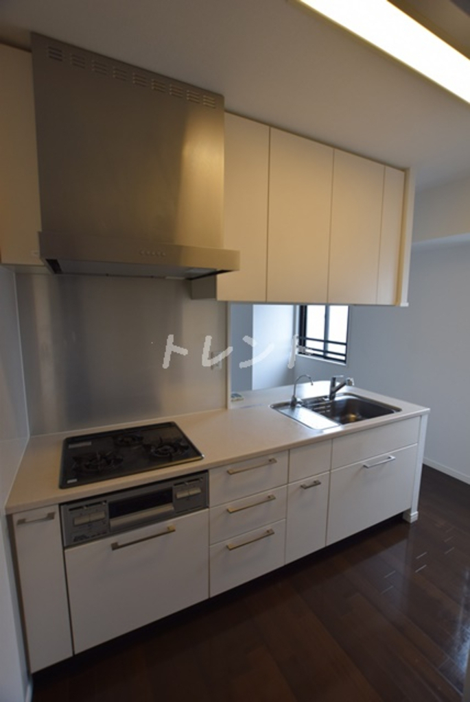 LaSante一番町【ラサンテ一番町】-1102