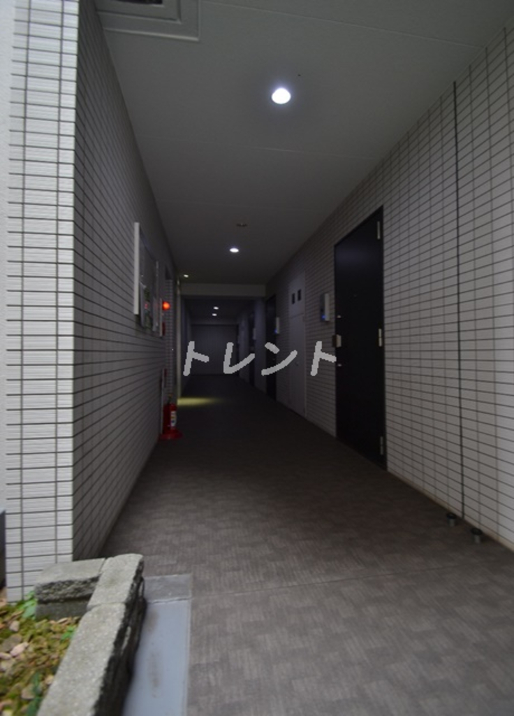 プレミアムキューブ新中野-407