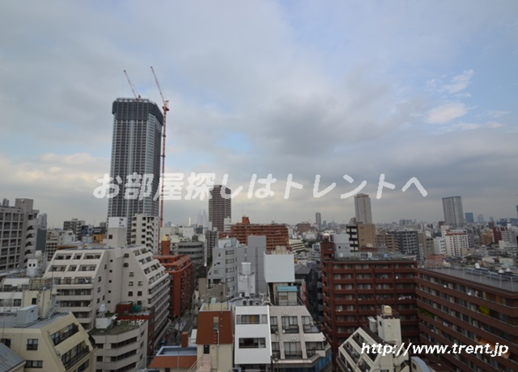 ジェノヴィア新宿御苑グリーンヴェール-304