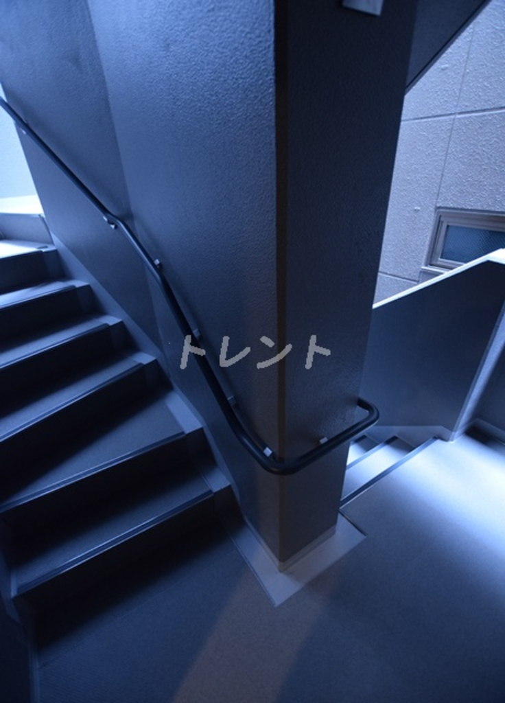 ライトテラス秋葉原-304