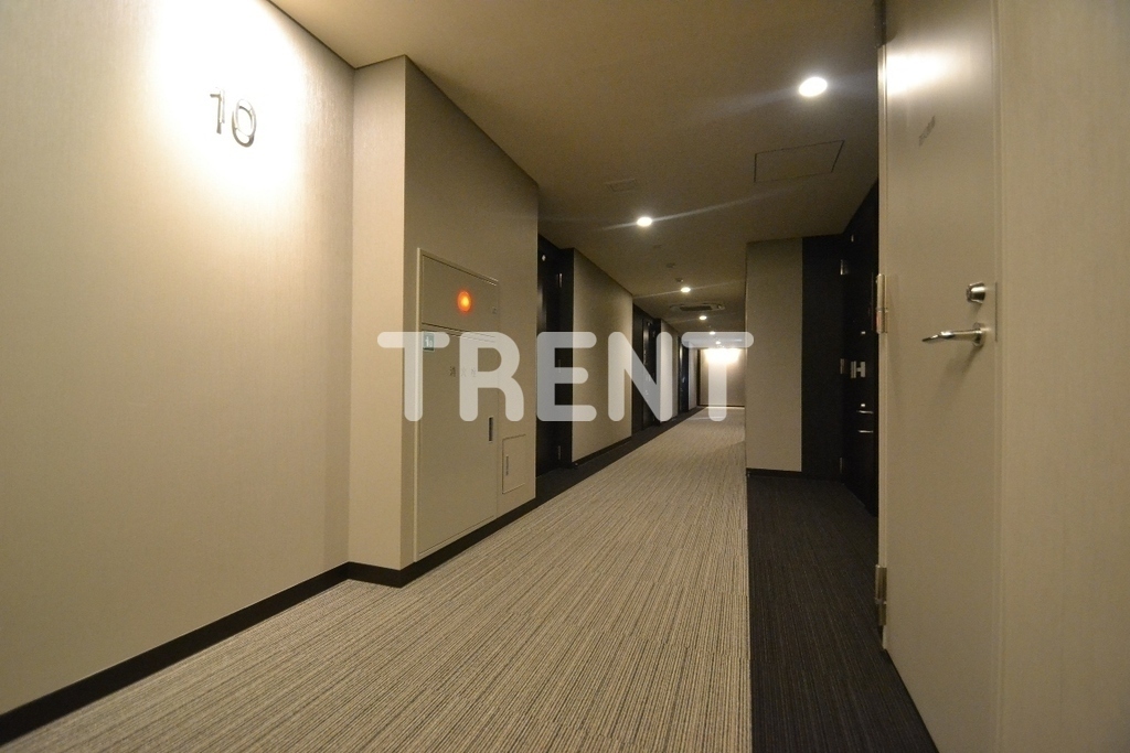 ディームス渋谷本町-302