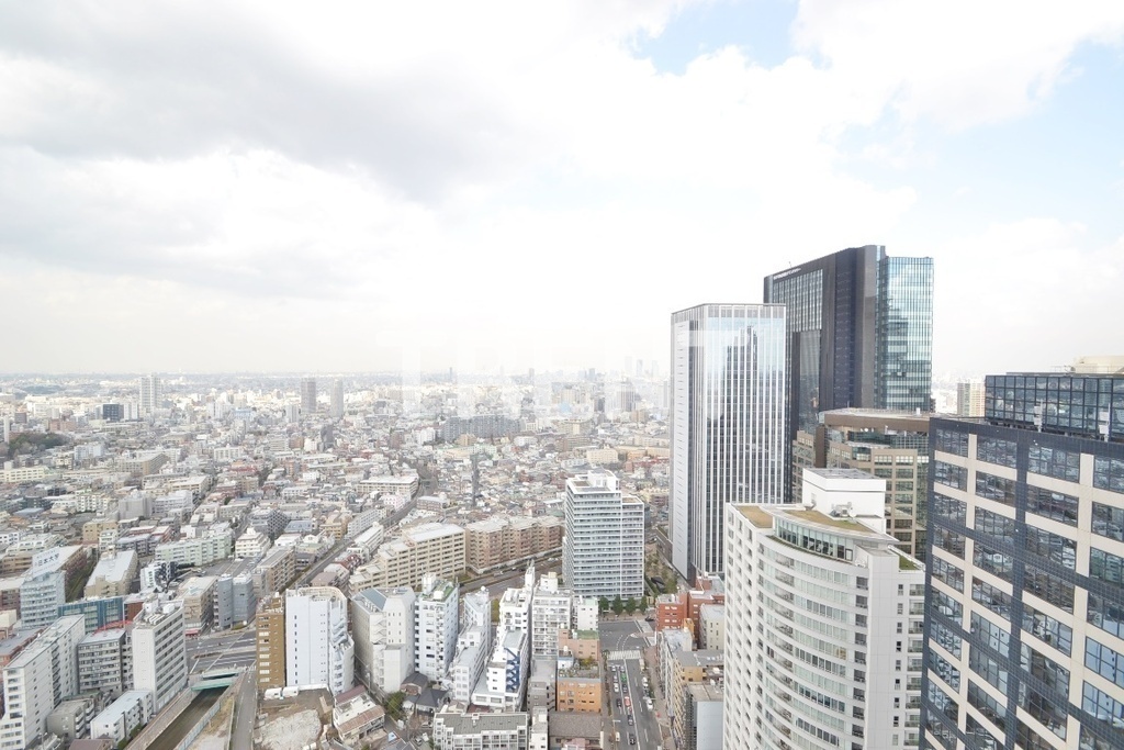 ザパークハウス西新宿タワー60-2609