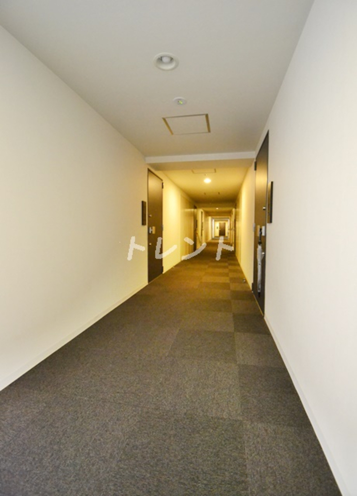 グランハイツ高田馬場-1115
