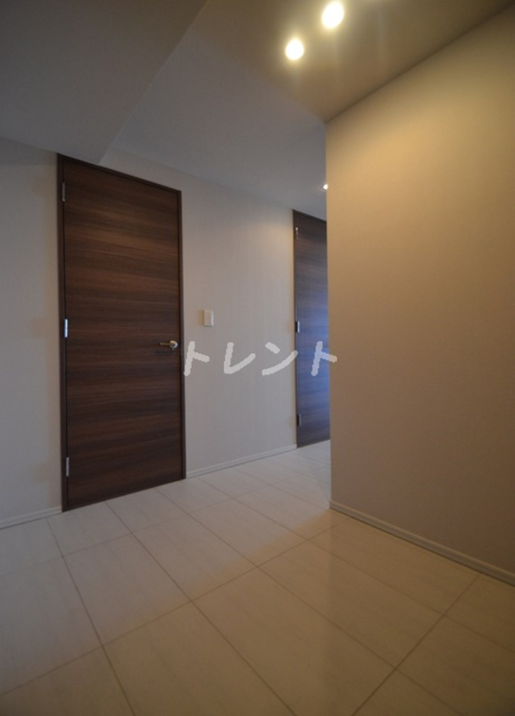 コンフォリア新宿イーストサイドタワー-513