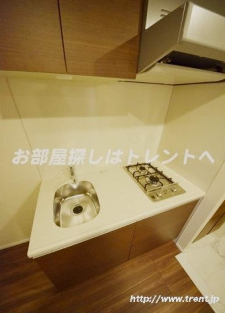 カーサスプレンディッド麹町-901