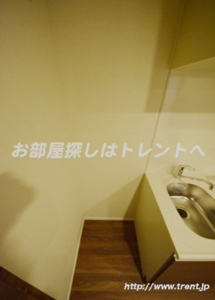 カーサスプレンディッド麹町-502