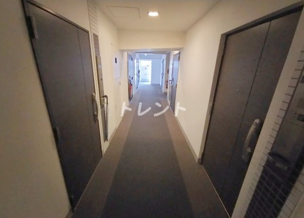 ラコスタ新宿余丁町-1005