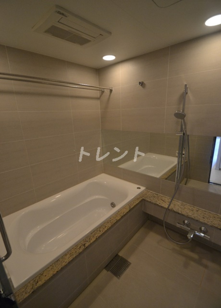 コンフォリア新宿イーストサイドタワー-413