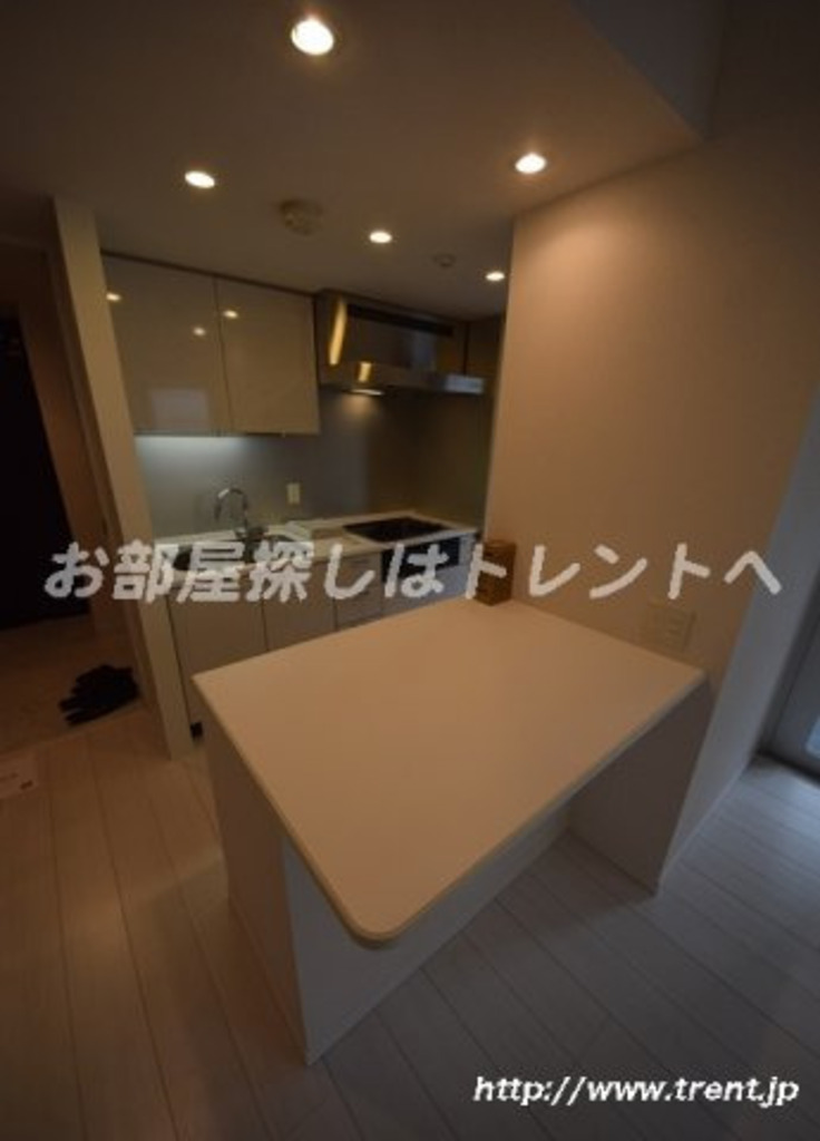 パークリュクス本郷-1103