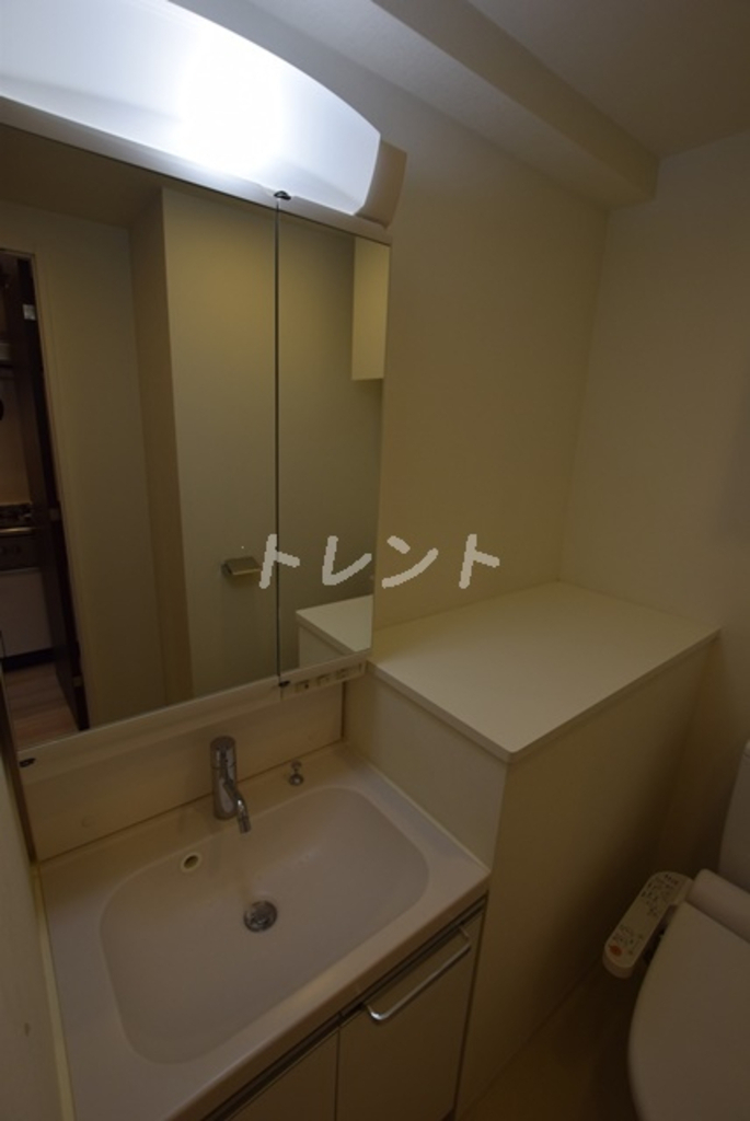 シュロスミーナ神楽坂-701