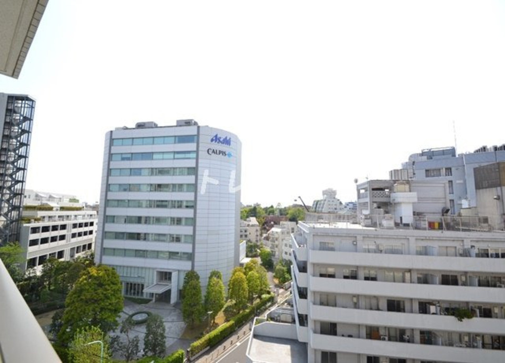 パークハビオ恵比寿-1303