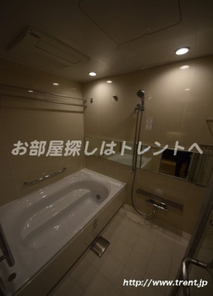 ザパークハウスグラン千鳥ヶ淵-302
