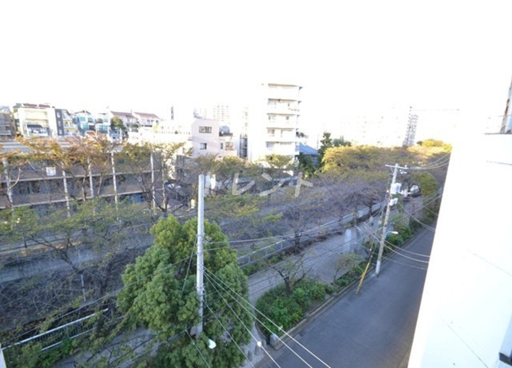 アヴィニティー東中野-703