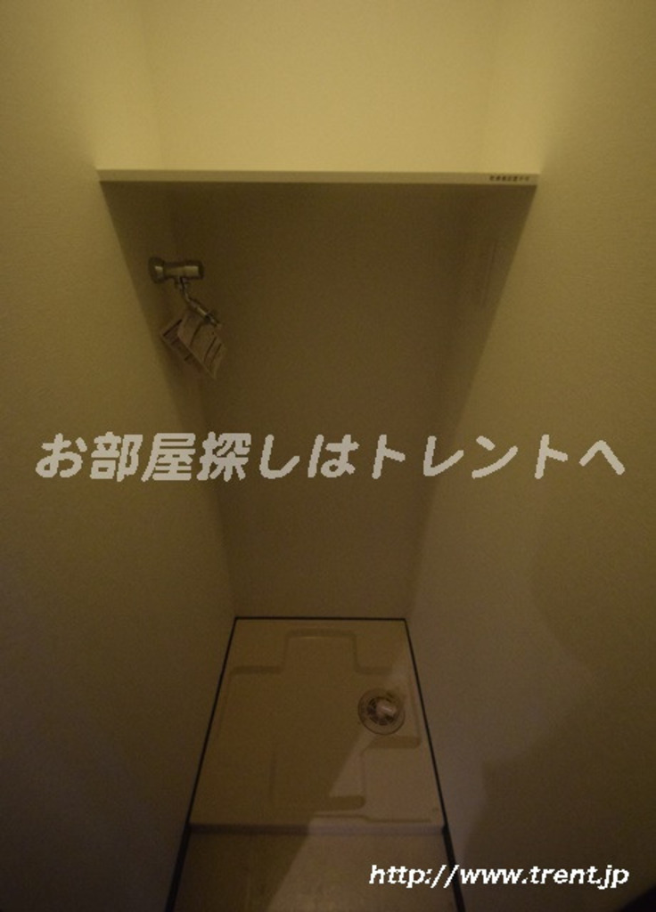 セジョリ早稲田Ⅱ-501