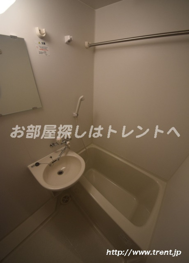 セジョリ早稲田Ⅱ-501