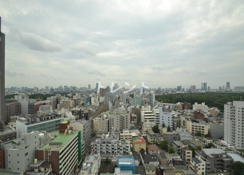 マイタワーレジデンス【MY TOWER RESIDENCE】-1308