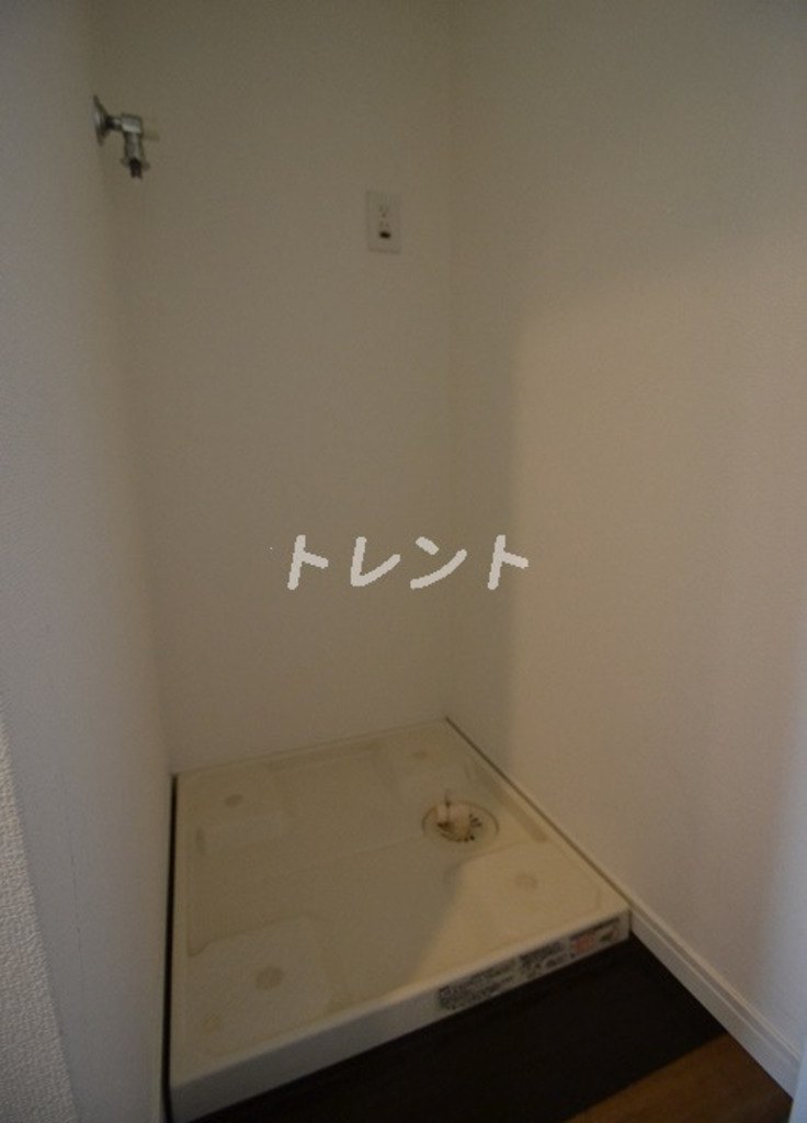 ココロ【KOKORO】-1201