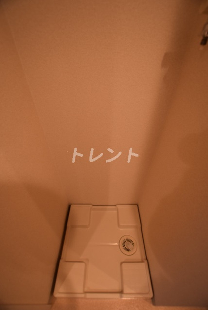 ステラメゾン茗荷谷-504