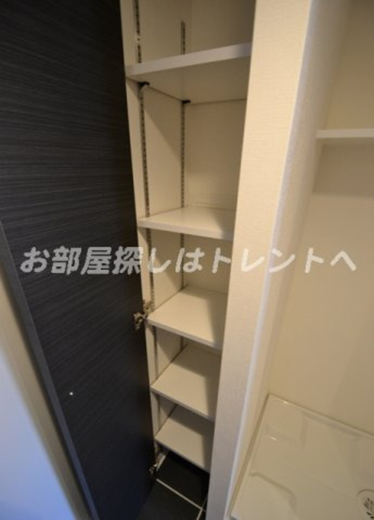 ラピス西新宿【LAPIS西新宿】-303