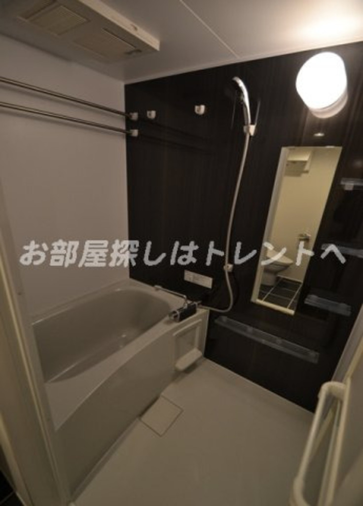 ラピス西新宿【LAPIS西新宿】-303