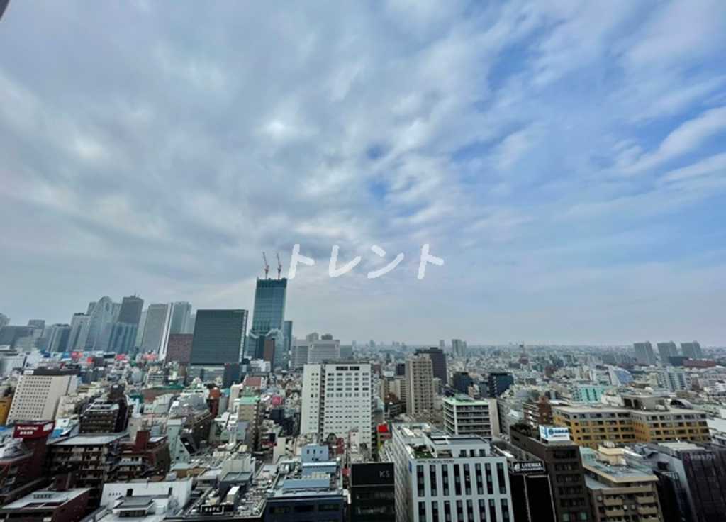 コンフォリア新宿イーストサイドタワー-1601