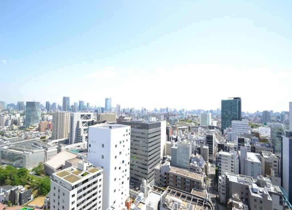 青山パークタワー-1808