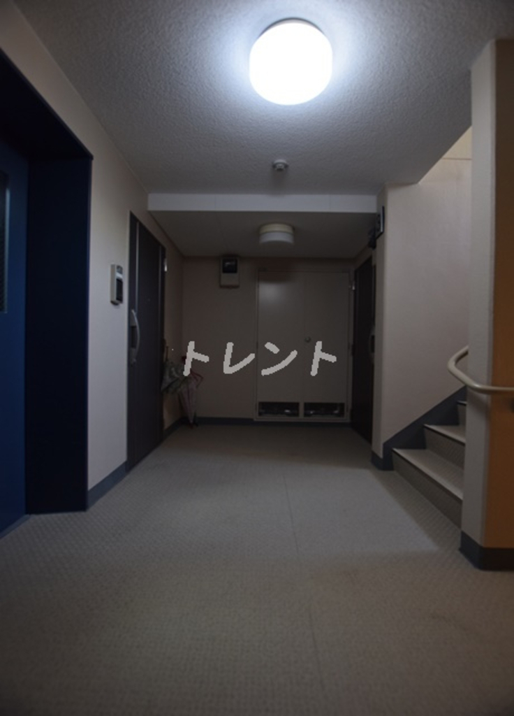 メゾンドリ-204