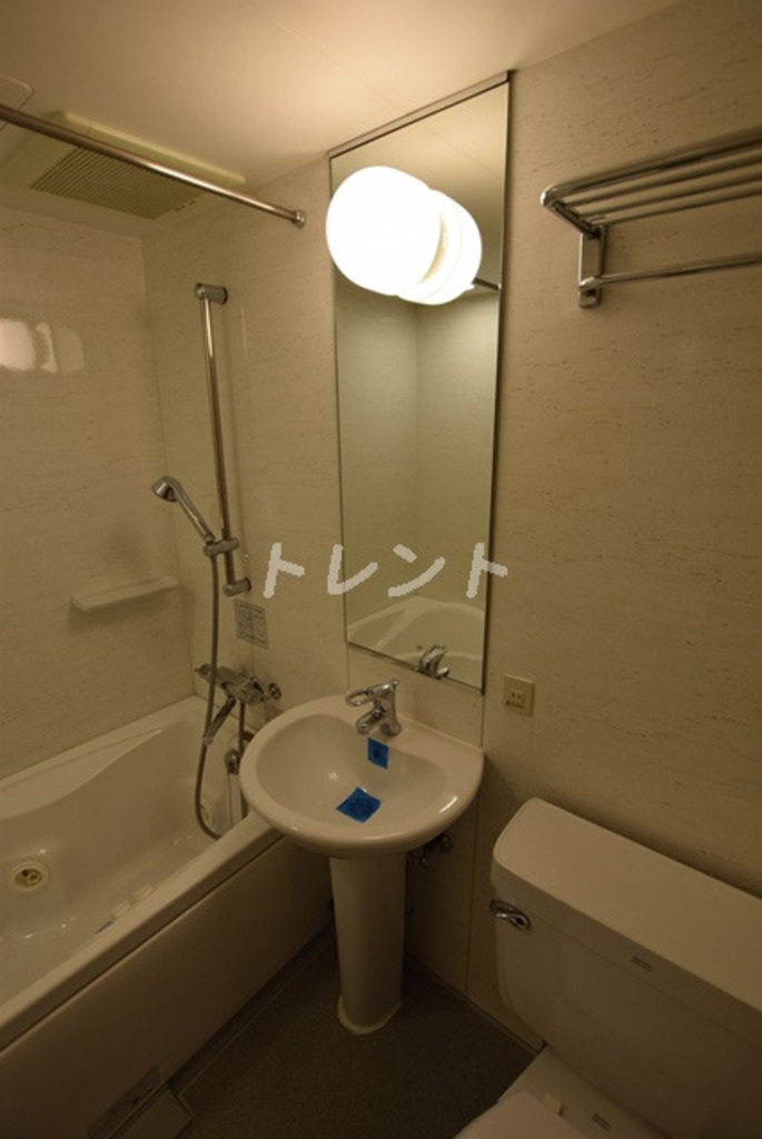 メゾンドヴィレ東神田-605