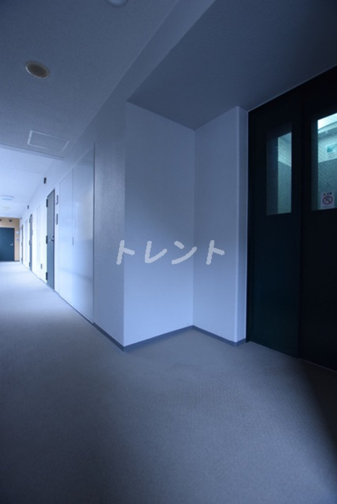 メゾンドヴィレ東神田-605