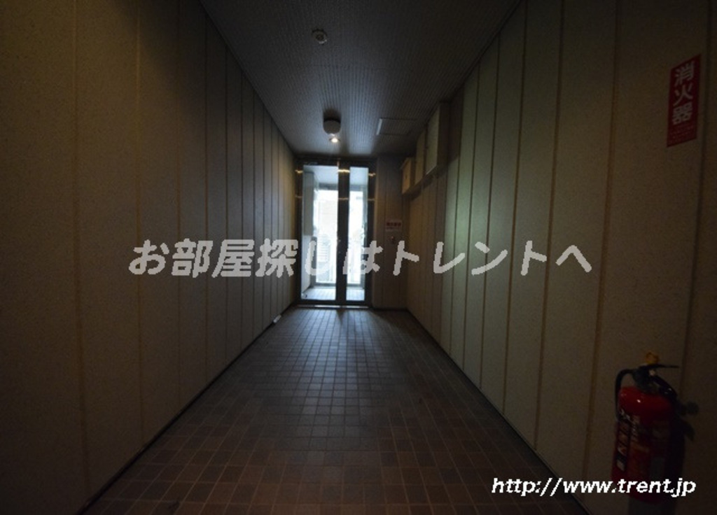 ワイゼア-202