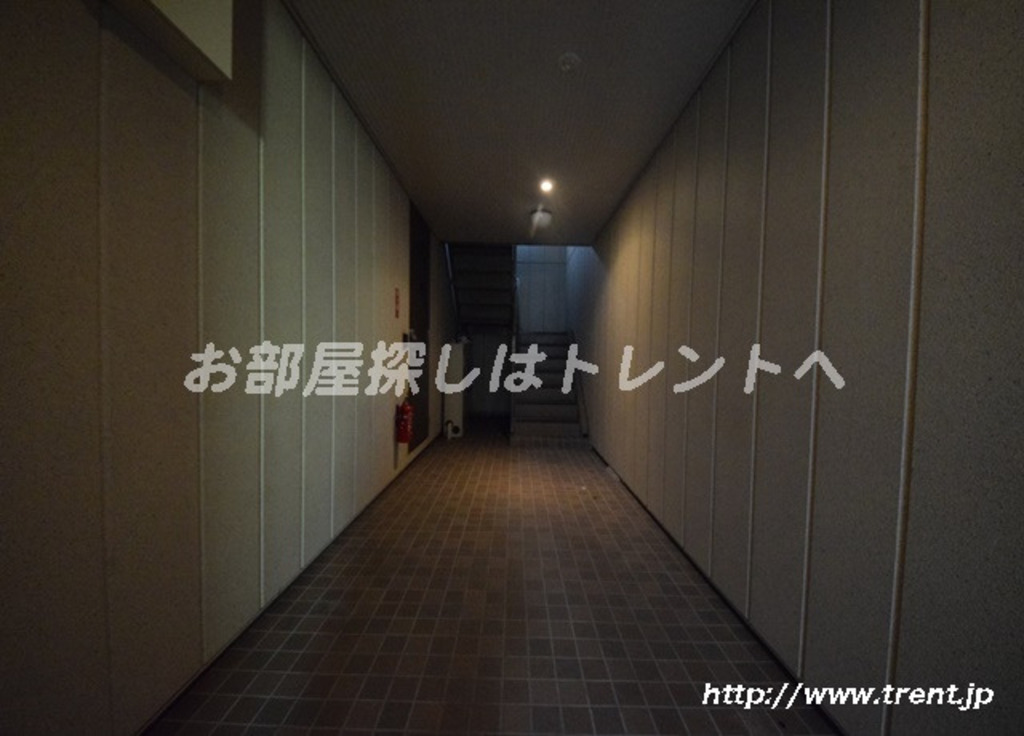 ワイゼア-202