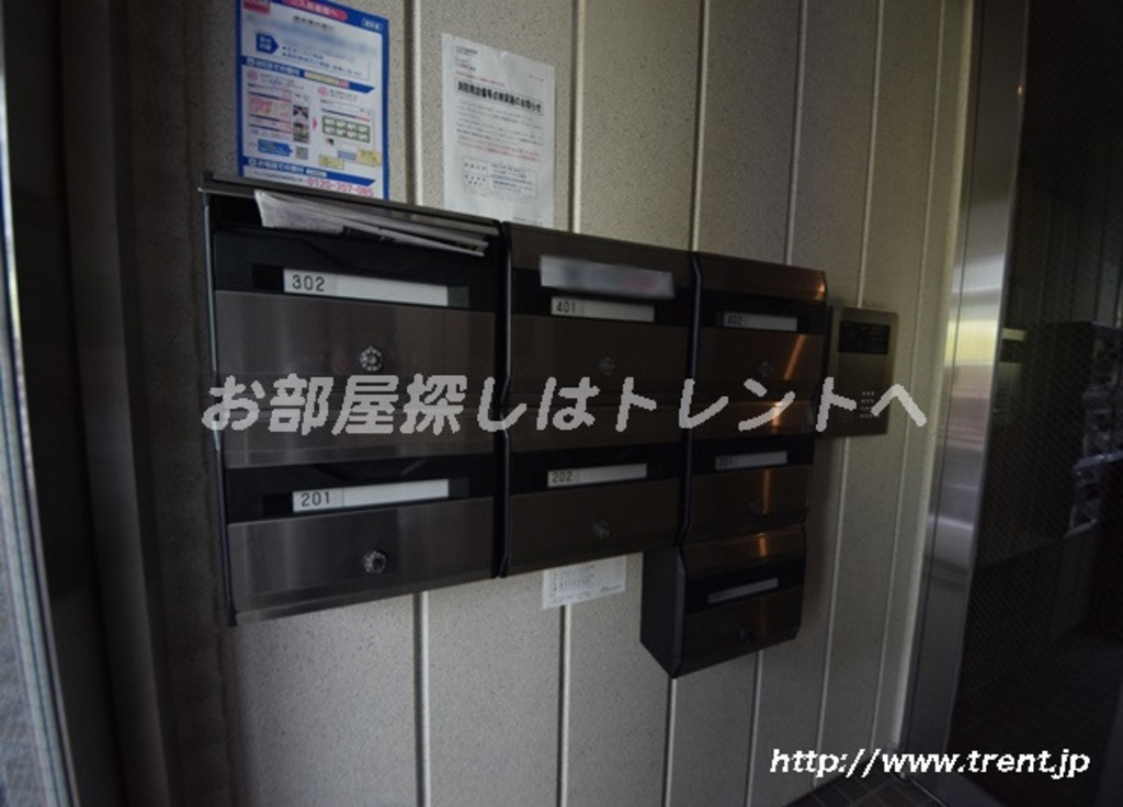 ワイゼア-202
