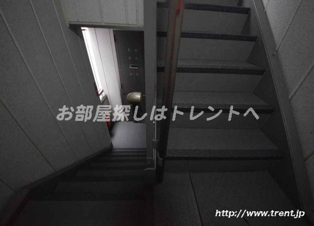 ワイゼア-202
