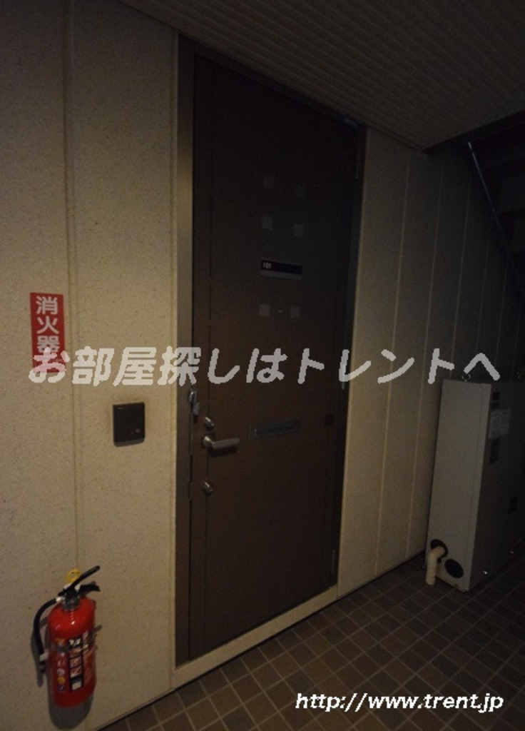 ワイゼア-202