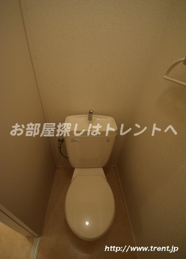 ワイゼア-202